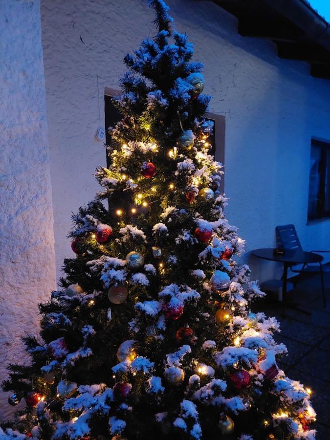 Pension Welserhof Wilfersdorf  エクステリア 写真