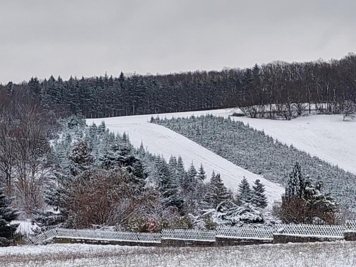 Pension Welserhof Wilfersdorf  エクステリア 写真