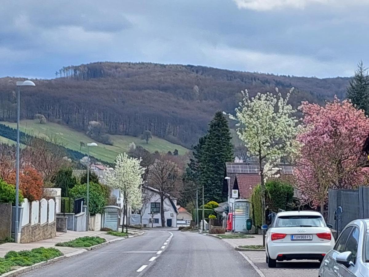 Pension Welserhof Wilfersdorf  エクステリア 写真