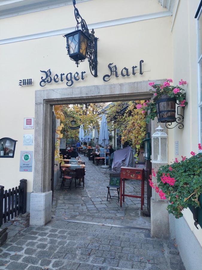 Pension Welserhof Wilfersdorf  エクステリア 写真