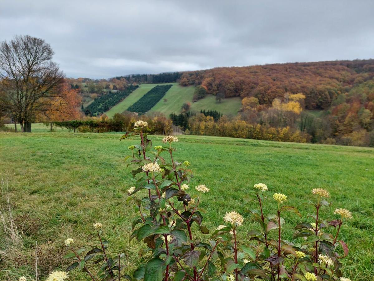 Pension Welserhof Wilfersdorf  エクステリア 写真
