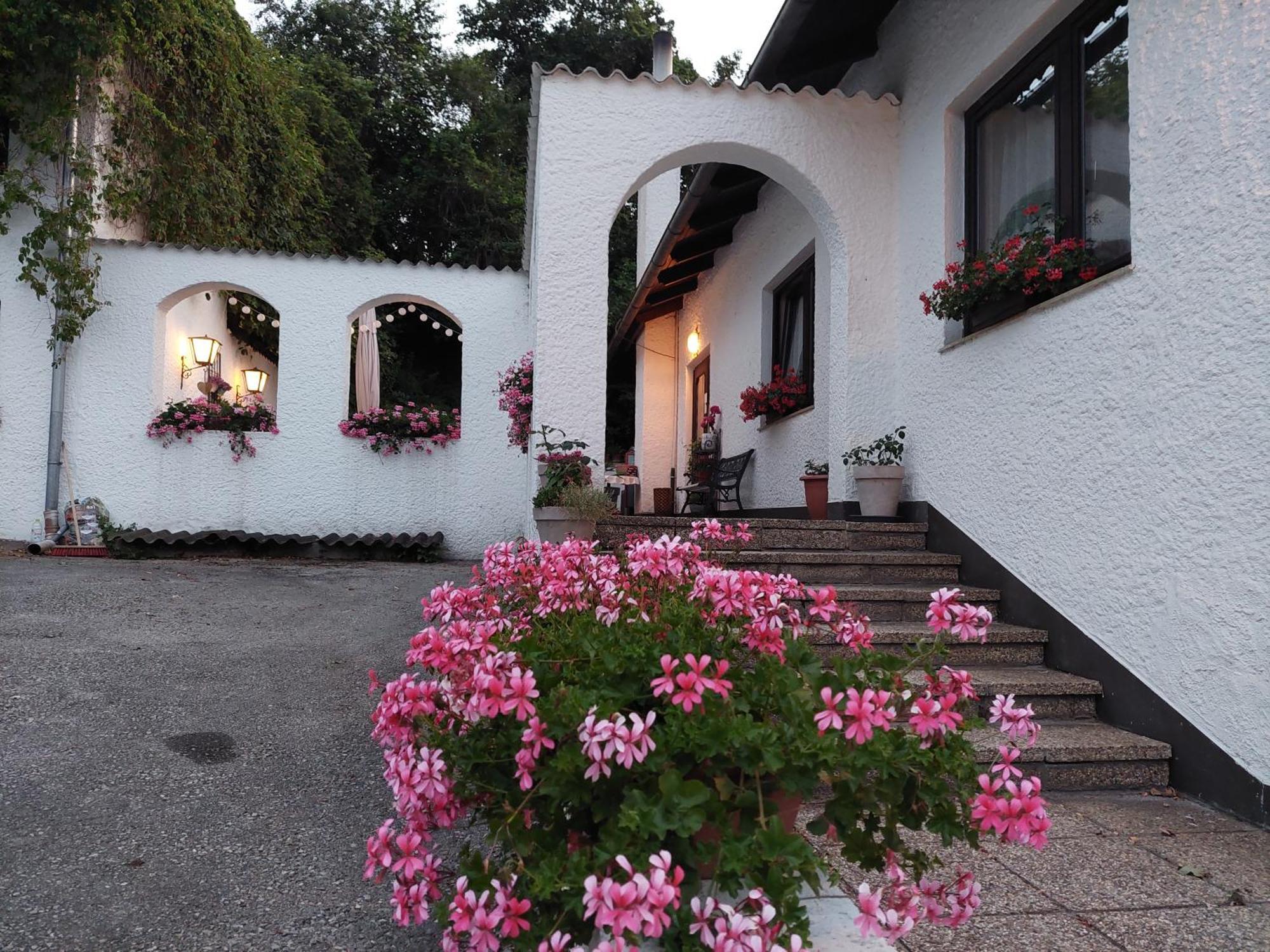 Pension Welserhof Wilfersdorf  エクステリア 写真